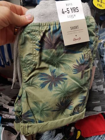 palm shorts